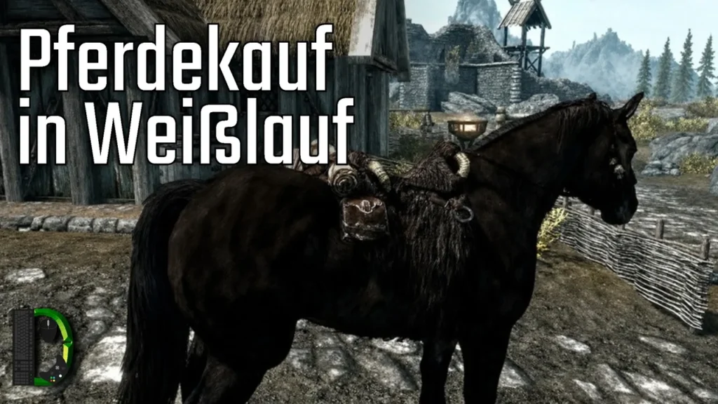 Pferdekauf in Weißlauf - Skyrim #15 - The Elder Scrolls V