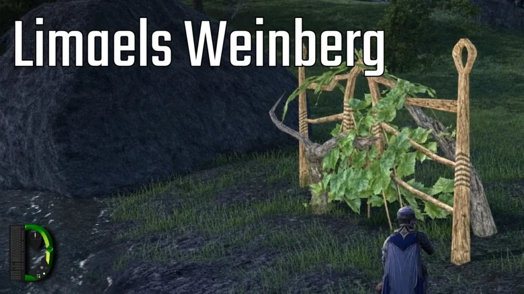 Limaels Weinberg | Elben-Runenbewahrer [06] Der Herr der Ringe Online