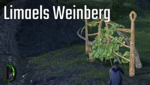 Limaels Weinberg | Elben-Runenbewahrer [06] Der Herr der Ringe Online