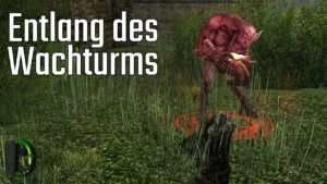 Entlang des Wachturms | [08] Der Herr der Ringe Online - Hobbit-Hüter