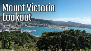Mount Victoria Lookout Wellington - Neuseeland Reisetag 8.3 - Adventskalender 2024 Türchen 22