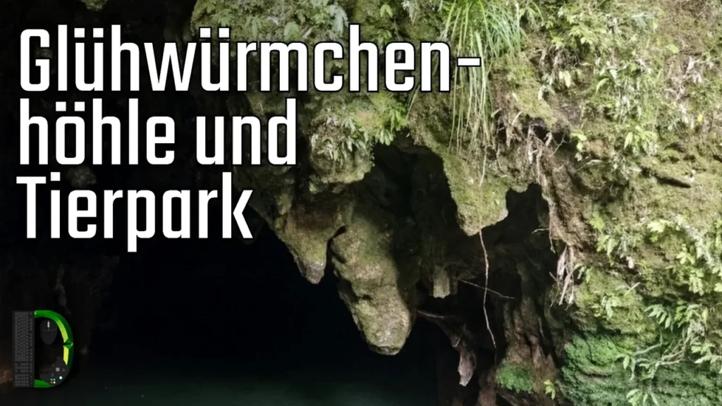 Glühwürmchenhöhle und Tierpark - Neuseeland Reisetag 6.1 - Adventskalender 2024 Türchen 17