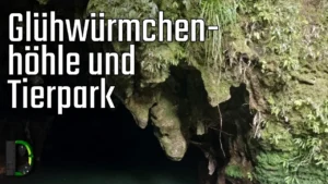 Glühwürmchenhöhle und Tierpark - Neuseeland Reisetag 6.1 - Adventskalender 2024 Türchen 17