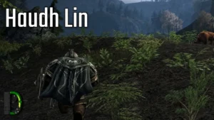 Miau | Zwergen-Wächter [13] Der Herr der Ringe Online