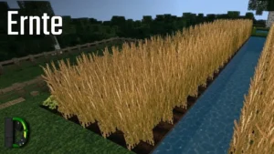 Ernte - Minecraft Let's Play #73 - Staffel 5