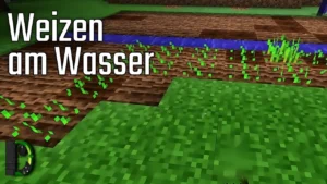 Weizen am Wasser - Let's Test Minecraft #3 - Staffel 1