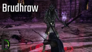 Brudhraw | [034] Der Herr der Ringe Online